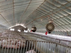 <span class=keywords><strong>Ventilateur</strong></span> de pulvérisation GZ560W mural suspendu, humidificateur centrifuge de refroidissement, caractéristiques : installation facile et contrôle rapide - Product Image 6