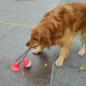 Amazon durevole cane silicone spazzolino interattivo giocattolo per animali domestici di lusso in gomma naturale masticare ventosa giocattolo per cani