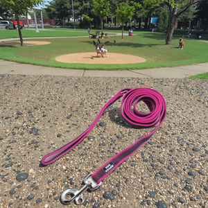 Correa de perro con mango de goma vulcanizada de nailon antideslizante absorbente de golpes sólidos para perros de tamaño medio grande para Golden Retrievers alemanes - Product Image 1