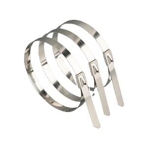 Attaches-câbles en acier inoxydable HDS UL, attaches-câbles de haute qualité, 4,6*300 mm, acier inoxydable SS304/316, attaches-câbles à glissière - Product Image 2