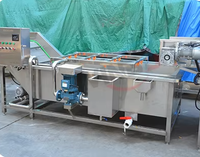 OEM/ODM Automatische Waterbelletjes Groente- en Fruitwasmachine Industriële Groothandel voor Fruitverwerkingsfabriek