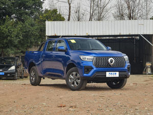 Hecho en China, camioneta interior cómoda y lujosa, Great Wall Cannon, nuevo LED eléctrico - Product Image 6