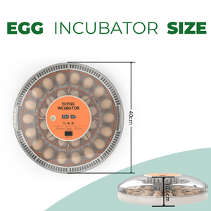 30 trứng nhà sử dụng lồng ấp hoàn toàn tự động Gà Vịt Chim Cút lồng ấp trứng nở máy - Product Image 2