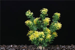 Suprimentos De Aquário Conjunto De Aquário Cenário Do Tanque De Peixes Plantas Falsas Plantas De Água Simuladas Plantas De Água Plásticas - Product Image 3