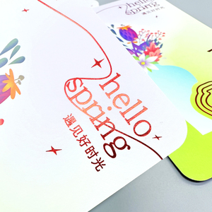 Venta de Fábrica OEM, Impresión Digital de Folletos y Volantes para Negocios, Servicio de Formato Personalizado con Papel Offset - Product Image 2