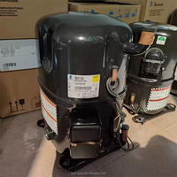 Compresor de Pistón de Baja Temperatura y Alta Presión para Refrigeración Tecumseh Francesa FH4525Y TFH4525Y 220V R134a al por Mayor