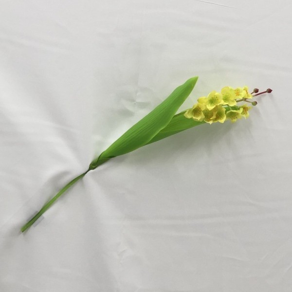 Giglio della valle-giallo