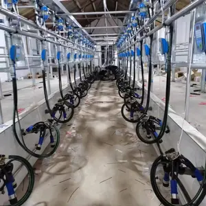 China milking machine for cows farm manufacture