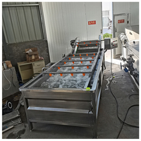 Groentewasmachine Industriële Chili Wasmachine Roterende Fruitgroente Wasmachine