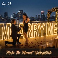 Panneau lumineux néon « Marry Me » pour mariage, décoration de toile de fond de bienvenue, grandes enseignes LED personnalisées pour propositions, événements, Mr & Mrs