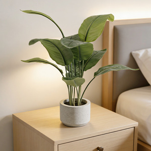 Árbol de Plátano Artificial al por Mayor, Mini, de Primera Calidad, Apariencia Realista, Tacto Real, Decoración para Interiores, Jardín, Hotel, <span class=keywords><strong>Ravenala</strong></span> Artificial - Product Image 1