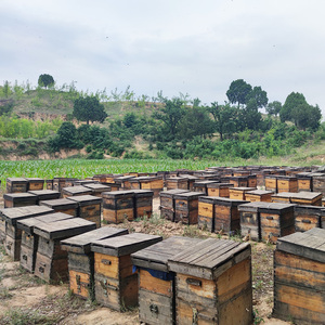 Spruzzo della <span class=keywords><strong>gola</strong></span> dell'estratto liquido della <span class=keywords><strong>propoli</strong></span> dell'ape della natura grezza di 100% - Product Image 5