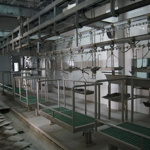 Équipement d'abattoir ligne d'abattage de porcs bovins moutons machines de <span class=keywords><strong>boucherie</strong></span> dans l'abattoir - Product Image 6