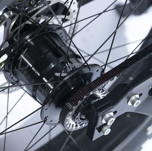 Chine OEM Step Thru 26 "48V Gros Pneu Vélo <span class=keywords><strong>Électrique</strong></span> Avec Bafang <span class=keywords><strong>1000</strong></span> <span class=keywords><strong>Watts</strong></span> Mid Drive Moteur M620 - Product Image 6