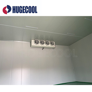 Hugecool Congélateur Walkin Personnalisé Refroidisseur Chambre Froide Chambre Refroidisseur pour Légumes Fruits - Product Image 4