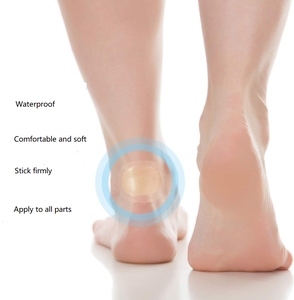 Pacote Ecológico Extreme Blister Gesso Produto Underfoot Gesso Extreme Blister Reutilizável - Product Image 5