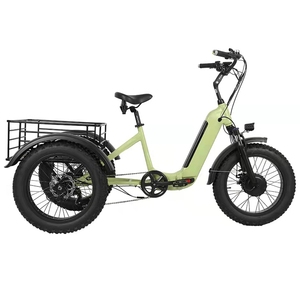 Bicicleta Eléctrica de Carga con Motor Delantero de 48V 500W, Cuadro de Aleación de Aluminio, Batería de Litio <span class=keywords><strong>Samsung</strong></span> de 48V 14Ah, Neumático Ancho para Bicicleta Eléctrica de Carga - Product Image 1