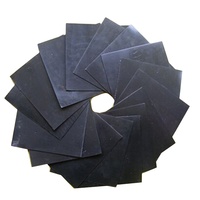 Géomembranes en HDPE de style design industriel pour usage extérieur et intérieur, pour projets de décharges, fermes de crevettes, cuisines
