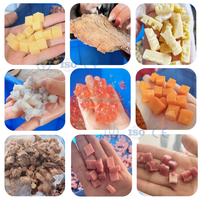 Mesin Pemotong Daging Beku CE untuk Daging Sapi, Keju, Sayuran, Pemotong Dadu Daging Tugas Berat, Ukuran Dapat Disesuaikan 5-25mm