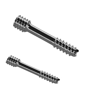 <span class=keywords><strong>Vite</strong></span> di Compressione Medica in Titanio Personalizzata - Elemento di Fissaggio Metrico con Filettatura Ovale - Product Image 1