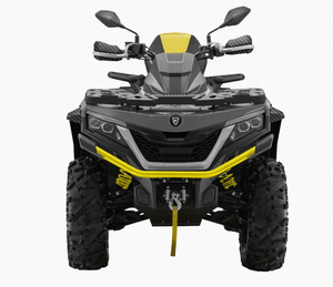 Quad 2 temps haute stabilité, moto tout-terrain à quatre roues, véhicule tout-terrain OEM ODM DIY - Product Image 1