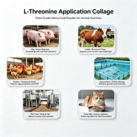 L-Thréonine de marque JIUCHONG, qualité alimentaire 98,5 %, poudre d'acide aminé CAS 72-19-5, 25 kg/sac, favorise une croissance saine pour l'alimentation des volailles et des porcs