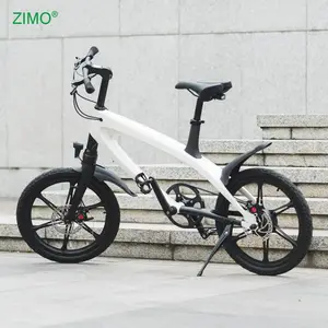 2024 36 V 240 W Pedalunterstützung Elektrofahrrad Fahrrad, China billiges Elektrofahrrad