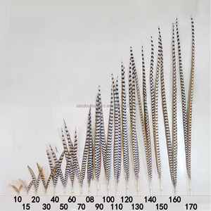 Oferta Especial Plumas <span class=keywords><strong>de</strong></span> Cola <span class=keywords><strong>de</strong></span> Faisán Reeves Natural <span class=keywords><strong>de</strong></span> 140-150 cm <span class=keywords><strong>de</strong></span> Largo para Carnaval, Sombreros <span class=keywords><strong>de</strong></span> Samba y Disfraces <span class=keywords><strong>de</strong></span> Baile - Product Image 6