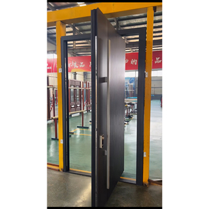 창이 48 X 96 인치 모던 알루미늄 피벗 도어 디자인, 주택 출입문용 - Product Image 4