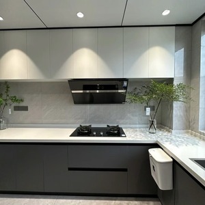 Cucina Componibile Moderna Economica in Melaminico, Design Popolare Cinese per Piccole Cucine - Product Image 2