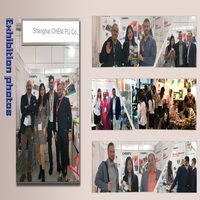 Revêtement d'étanchéité acrylique Mastic polyuréthane Liquide Revêtement imperméable de haute qualité Toit exposé