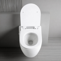 Fabricant Professionnel de Toilettes Murales Sans Cuvette pour Hôtels, Entreprises de Construction Immobilière et Distributeurs