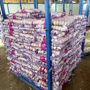 Ajo Chino de Alta Calidad y al Mejor Precio, Compre Ajo Chino en Cajas de 1kg, 5kg y 10kg, Precio de Venta - Product Image 4