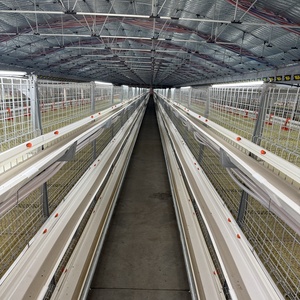 Cage de poulet de système de batterie à multiniveaux à haute efficacité de Type H pour les <span class=keywords><strong>poules</strong></span> <span class=keywords><strong>pondeuses</strong></span> - Product Image 4