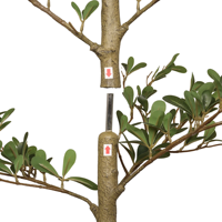 Arbre d'olivier artificiel réaliste de 120 cm, faux bonsaï d'olivier, plante artificielle pour la décoration intérieure de la maison et du jardin