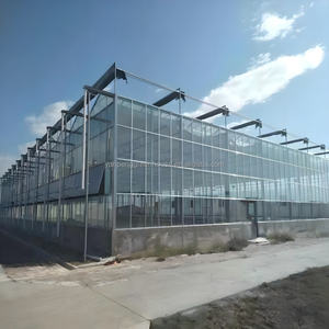 <span class=keywords><strong>Serre</strong></span> en verre moderne, recouverte de verre, est utilisée pour la culture de cultures et de légumes (comme la laitue, le <span class=keywords><strong>basilic</strong></span>). - Product Image 2