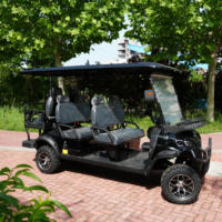 Voiturette de golf électrique 6 places, grand espace, carrosserie étanche, longue autonomie 70-90 km, certifiée CE, pour le tourisme