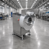 Chips Maken Machine Bevroren Schaal Frietjes Snijden Productielijn Taro Wortelsnijder