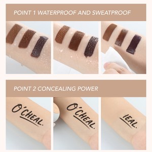 Private Label Cosmetics Face Natural Matte Full Coverage Vegan Waterproof <b>Concealer</b> Cream - Product Image 4