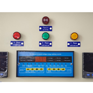 Régulateur de tension automatique (AVR) triphasé immergé dans l'huile IP54 2500 kVA, robuste, SVC, pour applications industrielles TNSJA-100KVA TNSJA - Product Image 3
