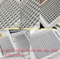 0.05mm 6D 8D ventilateurs préfabriqués extension de cils 10D 12D 0.07mm ventilateurs de volume préfabriqués à longue tige courte