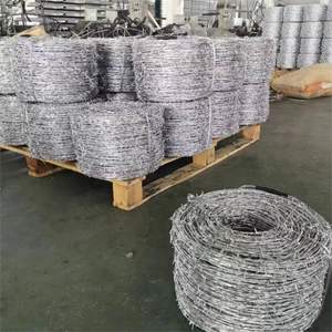 Alambre de Púas Galvanizado por Inmersión en Caliente para Cercas de Seguridad - Product Image 3