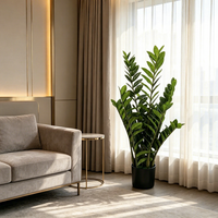 Karangan Bunga dan Tanaman Hias Mewah Buatan dari Zamioculcas Zamiifolia untuk Dekorasi Lanskap Dalam Ruangan, Pernikahan, dan Pesta.