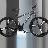 Vélo de montagne pour adultes, 24 pouces, 26 pouces, 21 vitesses, vélo tout-terrain, absorption des chocs, frein à double disque