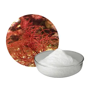 Meat Food Additive Red Algae Extract Best Price Carrageenan Kappa Carrageenan