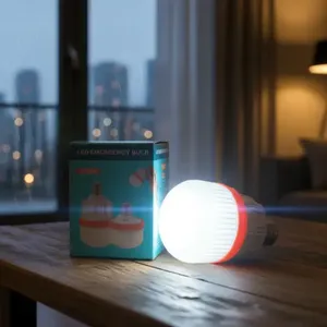 Projecteur LED portable HYF en matériau PC, batterie Li-ion 20W, lumière d'urgence rechargeable avec lumière blanche - Product Image 1