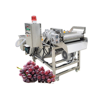 Commerciële groentewasmachine, aardappelbladwasmachine