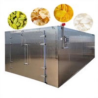 Industriële fruitdroogmachine van roestvrij staal voor grote volumes verse fruitdroging