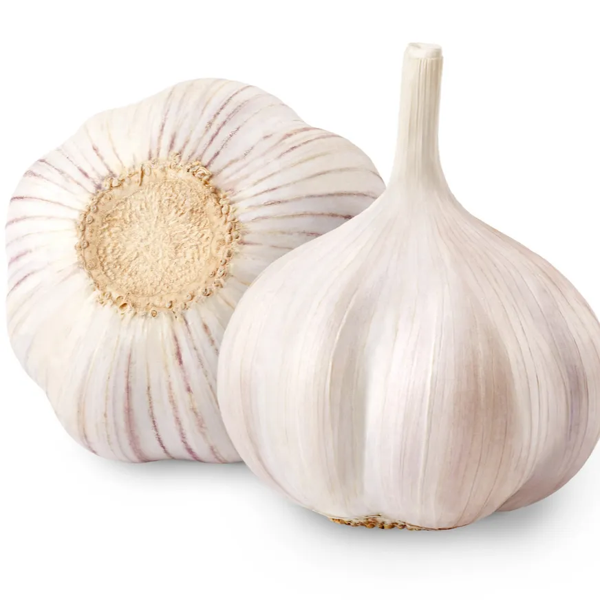 Top Quality Frozen Peeled Garlic Cloves Diced Past Quantity White OEM Head Style Time Weight Normal Fresh Garlic