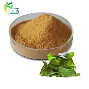Supplément naturel Ingrédient Ecklonia <span class=keywords><strong>Cava</strong></span> Extrait Poudre 40% Laminarine <span class=keywords><strong>Meilleur</strong></span> Prix - Product Image 2